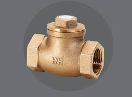 Check Valve