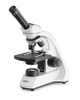 Kern OBT 101 | Compound microscope | Ocular magnifications 10 x