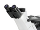Kern OLM 171 | Metallurgical Inverted Microscope | Ocular magnifications	10 x