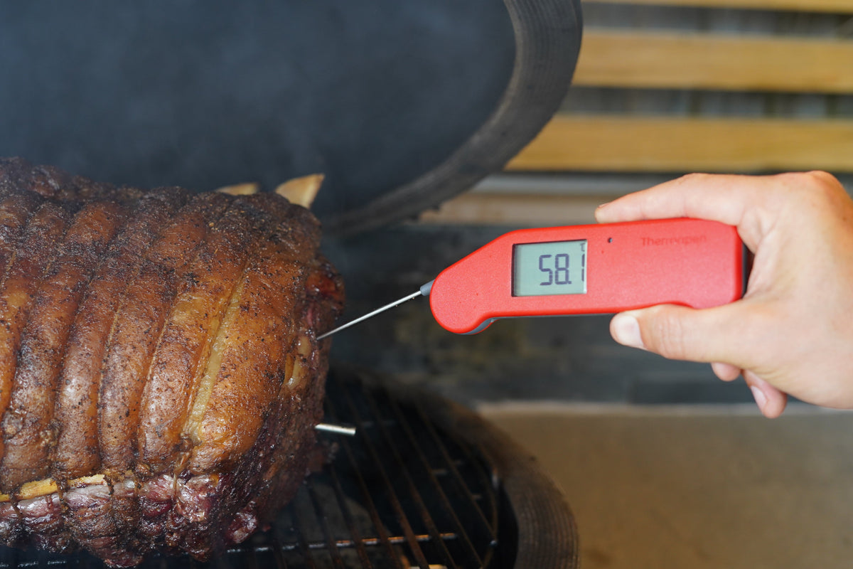 ETI 236-407 | Thermapen NANO | Grey, 0.4-Second Reading, IP67 - generaltechuae (2)