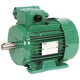 Leroy Somer - 4P LSES 180 LR 22.0kW IFT /IE2 380D/400D/415D-460D IP55