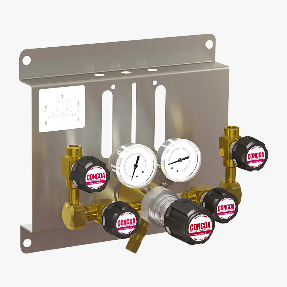 CONCOA P2 400 Series | Central Gas Manual Switchover Panel | Two Sources, 4500 PSIG Regulator Inlet