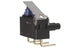 Omron D2HW-BR211DR, Hinge Lever Micro Switch, Right Angle PCB Terminal, 2 A @ 12 V dc, SPDT, IP67