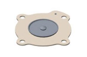 ASCO 200262 | Pneumatic Valve | Diaphragm Repair Kit for 8353C35