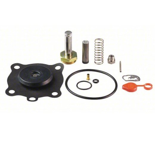 ASCO 302280 | Valve Rebuild Kit | Size 1-inch - generaltechuae