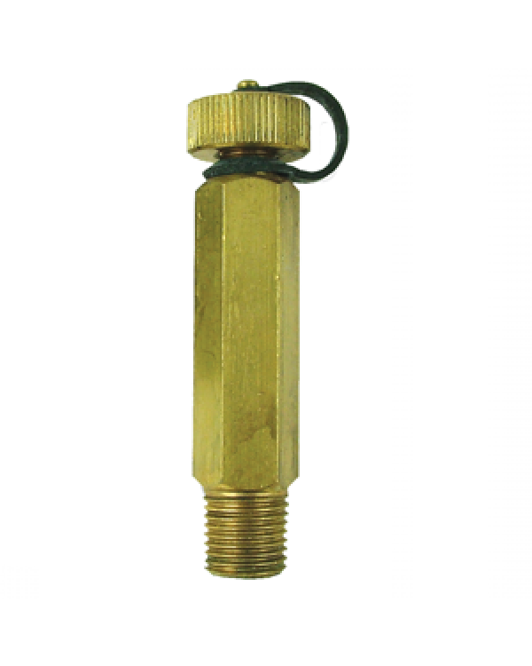 Brannan 39/312/1 | Self-Sealing Test Plug | 1/2" BSPT M, SS316 - generaltechuae (2)