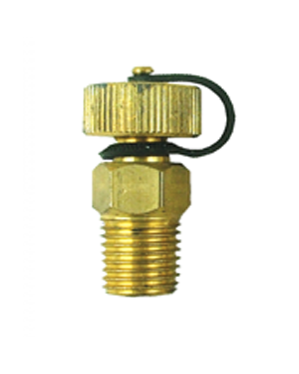 Brannan 39/313/1 | Self-Sealing Test Plug | 1/4" BSPT M, 50 mm lagging extension, SS316 - generaltechuae