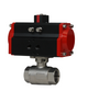 Dwyer Instruments WE01 | 2-Piece NPT stainless steel ball valve