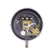 Dwyer Instruments DA-7031-153-6 | Pressure Switch | Brass;5-100 psig;SPDT Snap;Fixed - generaltechuae