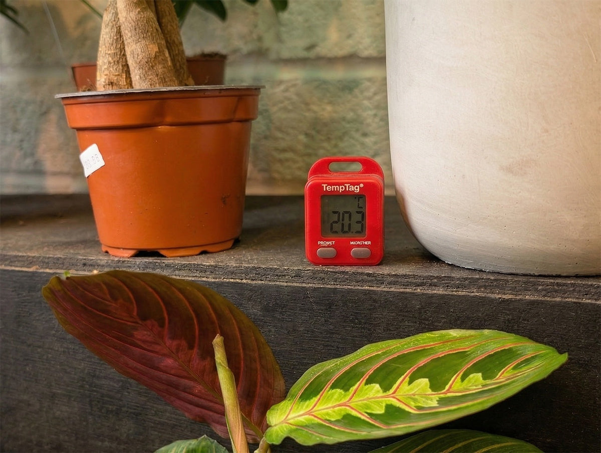 ETI 810-244 | TempTag Micro Max/Min Thermometer | Red, -20 to 60 °C, IP65 - generaltechuae (4)
