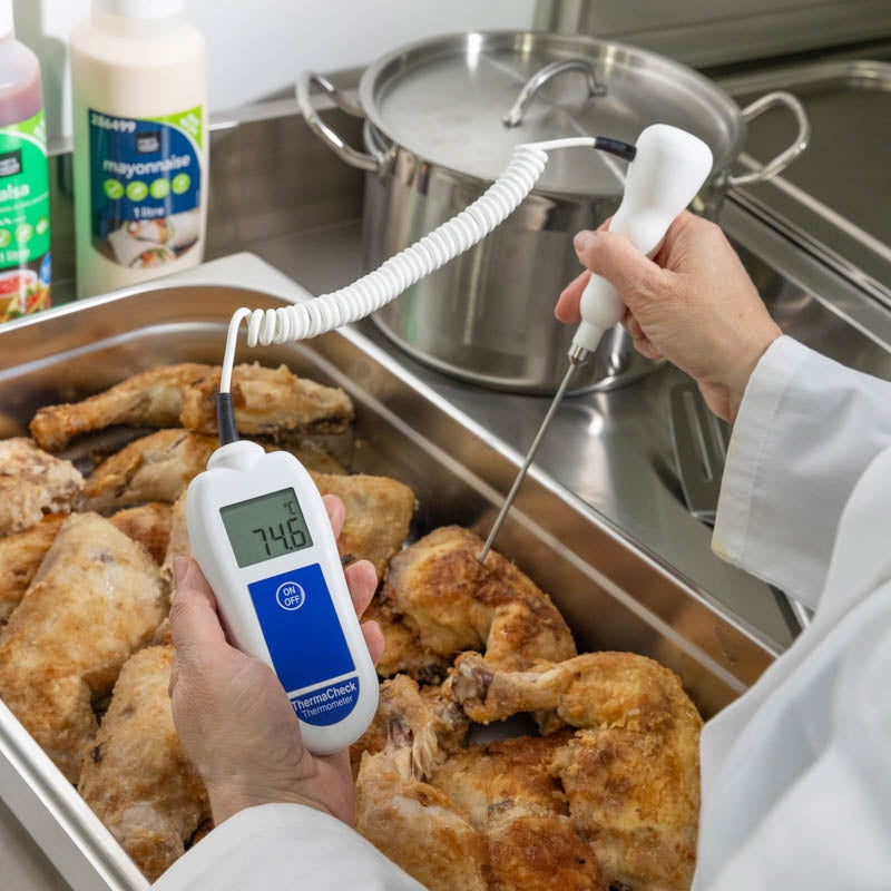 ETI 226-042 | ThermaCheck Thermistor Thermometer with Probe | ±0.3 °C System Accuracy - generaltechuae (5)